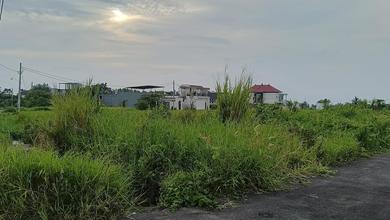 Jual Cepat Tanah Murah di Kedungu, Tabanan, LT 250m²