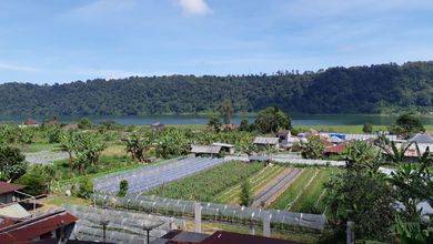 Rumah Mewah Luas 420 m2, di Bedugul, Tabanan