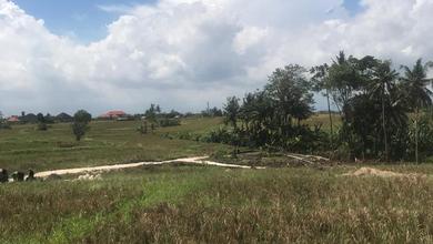Dijual Tanah Terjangkau di Pererenan, Badung, LT 219m²