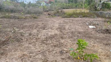 Segera Miliki Tanah Harga Ekonomis di Ungasan, Badung