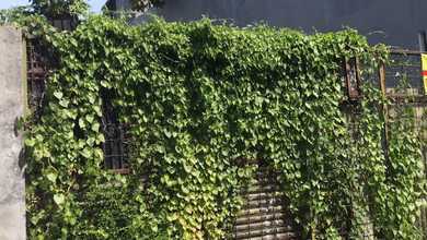 Dijual Tanah di Lokasi Premium Regol, Bandung, Harga 2 Miliar