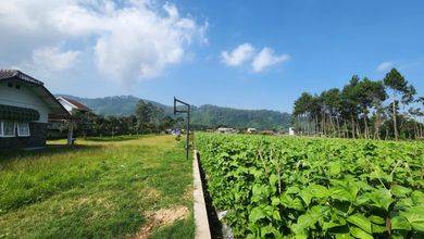 Jual Murah Tanah 12000 m2 Area Strategis