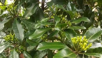 Jual Tanah Area Strategis, Luas 50000 m2