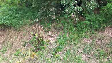 Kavling Prestisius Dijual di Cipaku, Bandung, Harga 2,67 Miliar