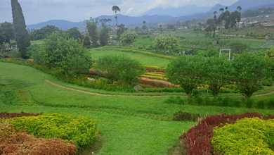 Dijual Tanah Eksklusif di Ciwidey, Bandung, LT 17000m²