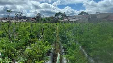 Dijual Tanah Eksklusif di Lembang, Bandung, LT 5980m²