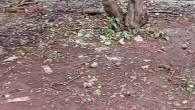 Dijual Tanah Eksklusif di Sawangan, Depok, LT 1425m²