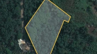 Tanah Elit Dijual di Padalarang, Bandung, Harga 6,82 Miliar