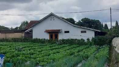 Kavling Prestisius Dijual di Lembang, Bandung, Harga 23,9 Triliun