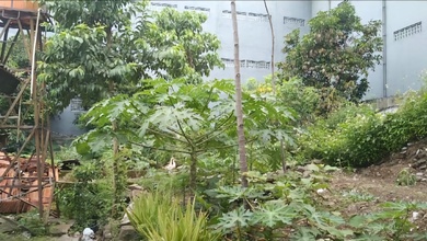 Disewakan Tanah Kosong Lokasi Strategis Kawasan Bandung