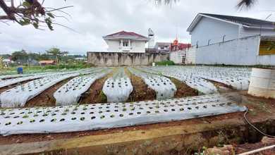 Kesempatan Tanah Strategis di Lembang, Bandung, Harga 2,25 Miliar