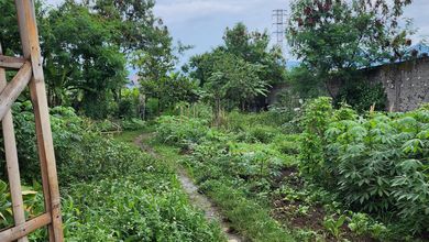 Tanah Elit Dijual di Arcamanik, Bandung, Harga 13,3 Miliar