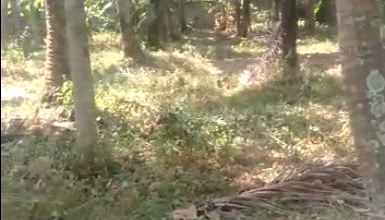 Kavling Prestisius Dijual di Pasteur, Bandung, Harga 1280 Triliun