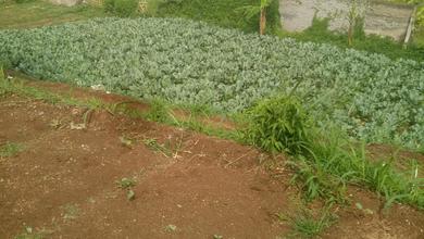 For Sale Tanah Eksklusif di Cimahi, Bandung, LT 18000m²