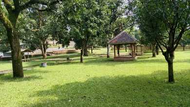 Villa Dan Cafe Yang Ada Kebun Mangga Di Majalengka