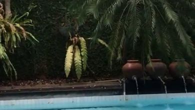 Penawaran Eksklusif, rumah Prestisius di Ragunan, Jakarta Selatan, LB 300m²