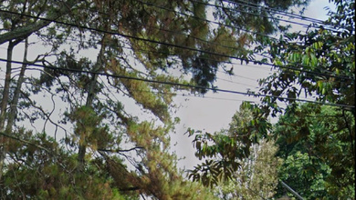 Disewakan Ruang Usaha Sayap Sukajadi Cocok Untuk Cafe Dan Padle