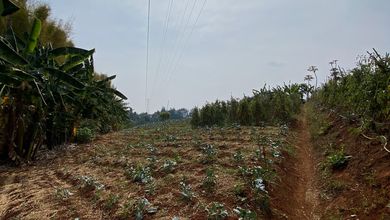 For Sale Tanah Eksklusif di Resor Dago Pakar, Bandung, LT 10000m²