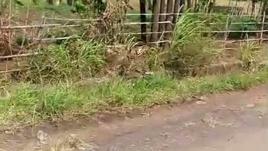 Kavling Prestisius Dijual di Nagreg, Bandung, Harga 44 Miliar