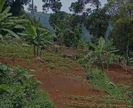 Jual Tanah Kawasan Komplek Jatinangor Pemandangan Danau dan Taman