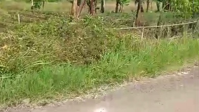 Kavling Prestisius Dijual di Nagreg, Bandung, Harga 22 Miliar