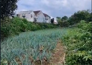 Kavling Komplek x  Kawasan Ciwidey