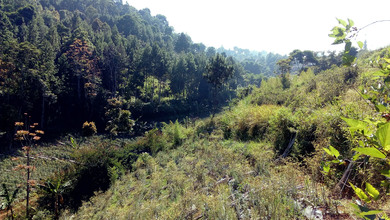 Tanah Elit Dijual di Dago Pakar, Bandung, Harga 48,7 Miliar