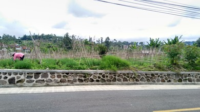 For Sale Tanah Premium di Ciwidey, Bandung, LT 9300m²