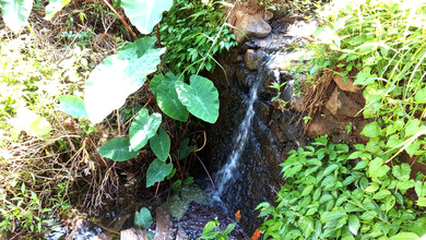 Tanah Elit Dijual di Dago Pakar, Bandung, Harga 51,1 Miliar