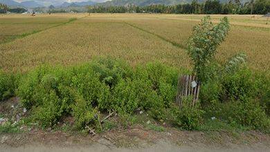 Jual Tanah Lokasi Strategis, LT 10000 m2