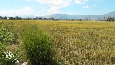 Kavling Prestisius Dijual di Dumbo Raya, Gorontalo, Harga 17,5 Miliar