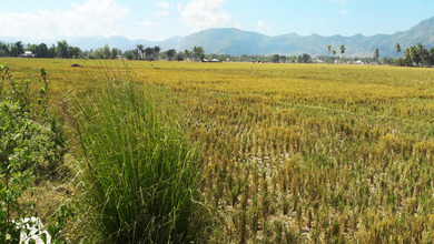 Dijual Tanah Premium di Toto Utara, Gorontalo, LT 10000m²