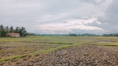 Jual Cepat Tanah Prospektif di Ciranjang, Cianjur, LT 2714m²
