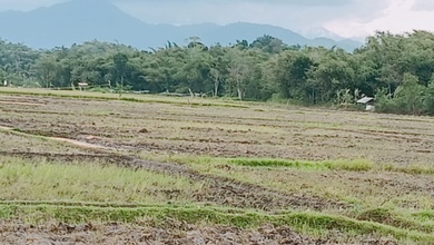 Kesempatan Tanah Strategis di Ciranjang, Cianjur, Harga 2,22 Miliar