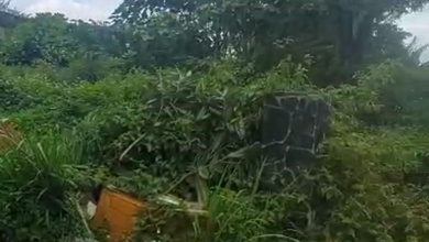 Tanah Elit Dijual di Cipaku, Bandung, Harga 6 Miliar