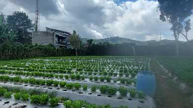 Dijual Tanah Premium di Lembang, Bandung, LT 4200m²