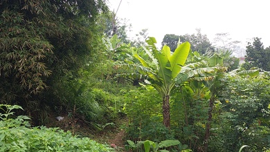 Kavling Prestisius Dijual di Cigadung, Bandung, Harga 7,88 Triliun