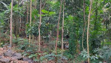 Kavling Prestisius Dijual di Cileunyi, Bandung, Harga 67,2 Triliun