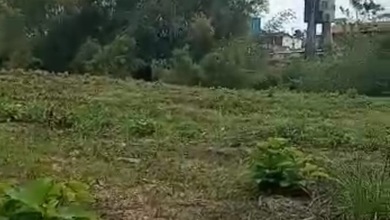 Tanah Luas 6954 m2 Lokasi Strategis Lowokwaru, Dijual Murah