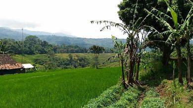 Jual Tanah Area Strategis, Luas 30000 m2