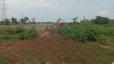 For Sale Tanah Eksklusif di Bojong, Pekalongan, LT 10737m²