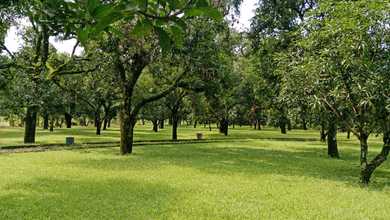 Villa Dan Cafe Yang Ada Kebun Mangga Di Majalengka