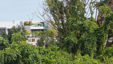 Jual Tanah Minimalis di Area Canggu, Badung