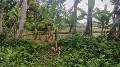 Sewa Kotak LT 120000 m2 Lokasi Pejeng Disewakan Segera