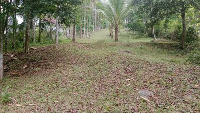 Jual Terjangkau Tanah 1500 m2 Kawasan Strategis