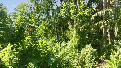 Investasi Tanah Murah di Ubud, Gianyar, Luas 500m²