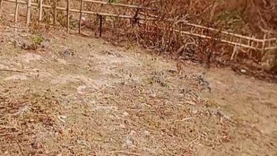 Jual Cepat Tanah Murah di Nusa Dua, Badung, LT 100m²
