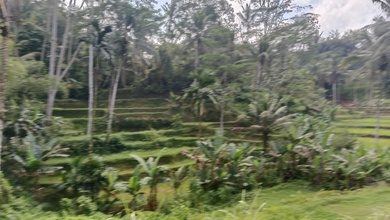 Tanah Bisnis Dekat Jalan Raya Area Ubud