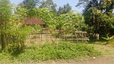 Segera Miliki Tanah Harga Ekonomis di Ubud, Gianyar