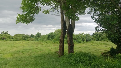 For Sale Tanah Eksklusif di Gianyar, Gianyar, LT 11100m²